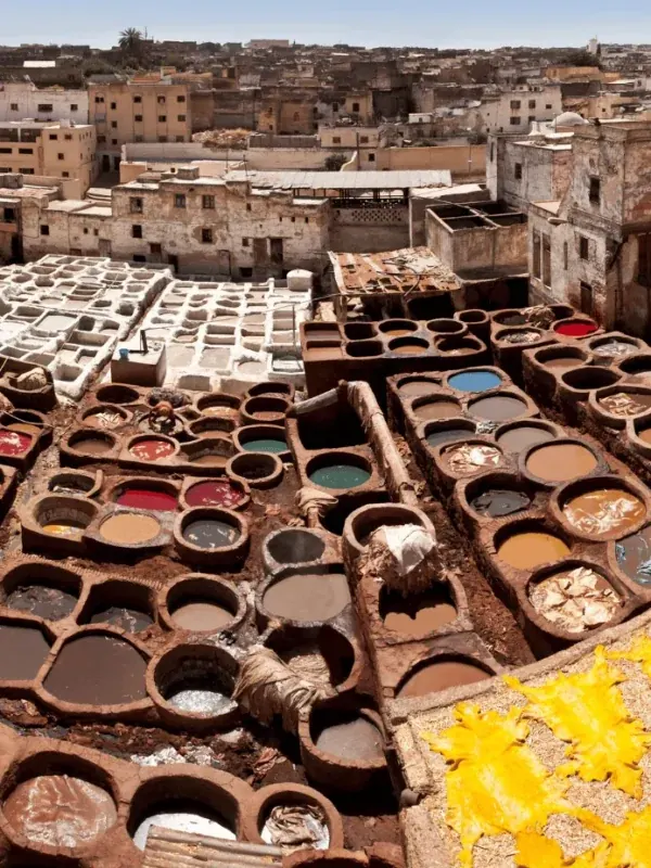 Tour da Fes