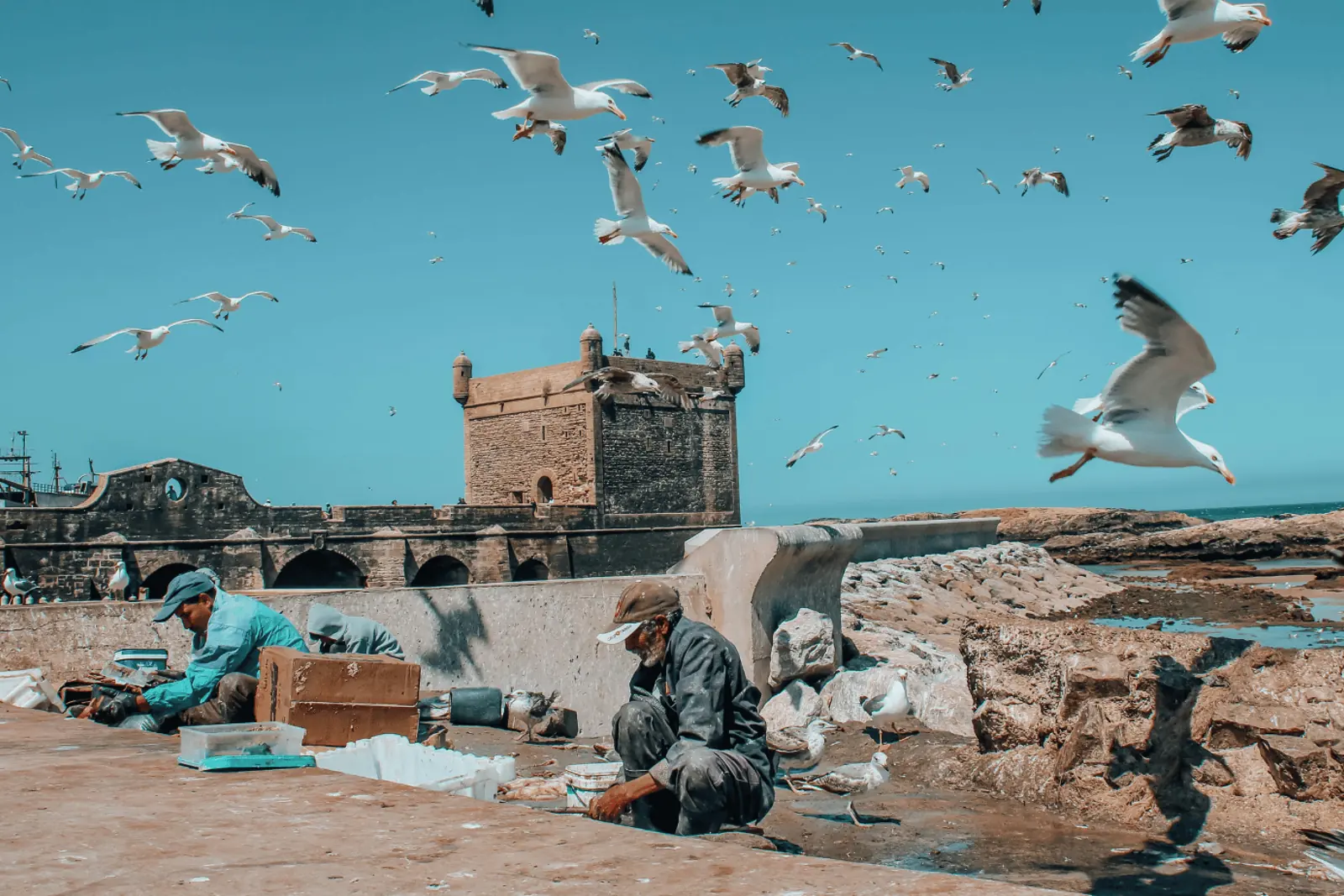 Escursione di un giorno da Marrakech a Essaouira